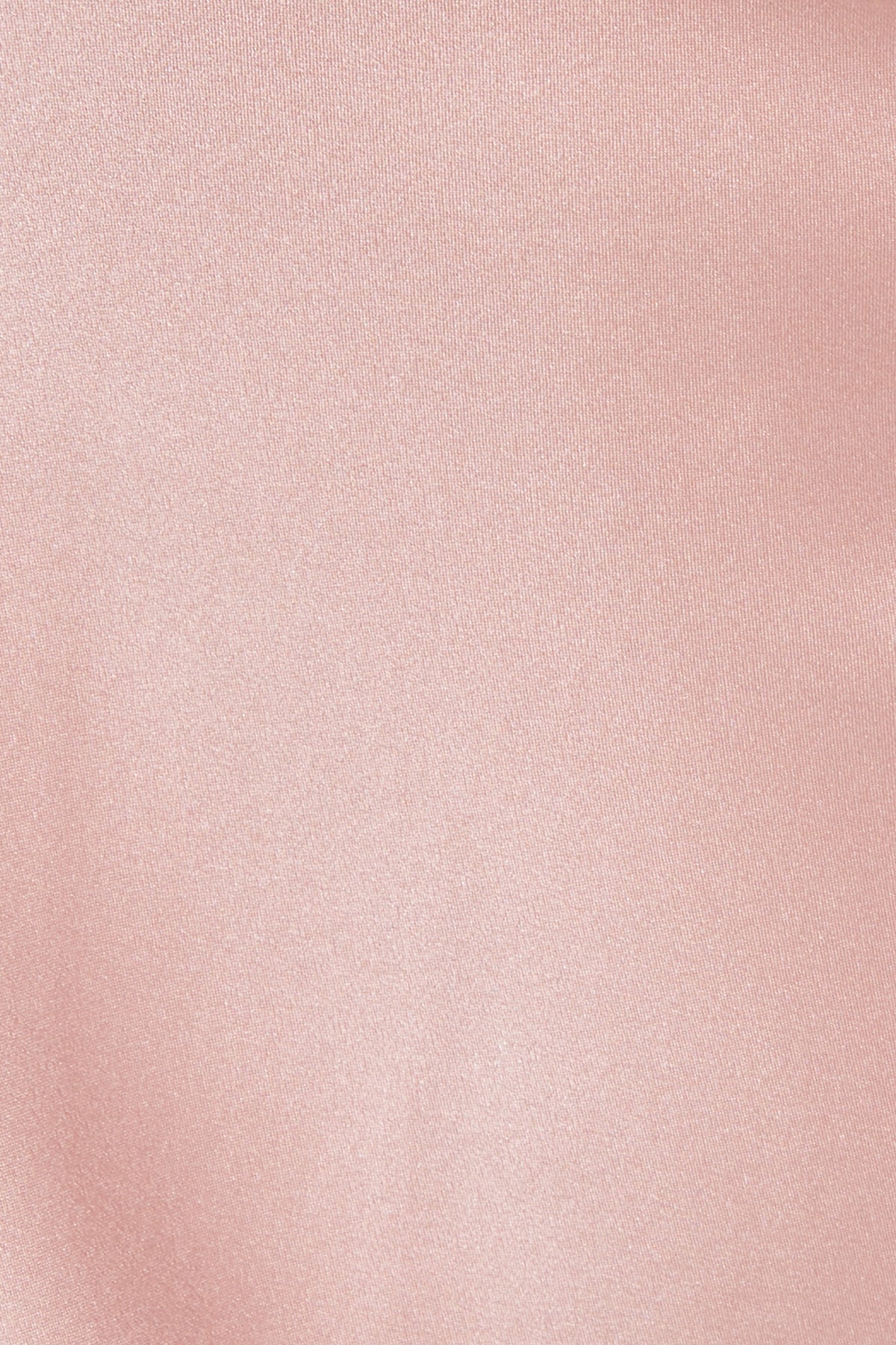 GINIA Lace Silk Lace Slip in Bridal Rose - 100% 19mm Silk Grade 6A